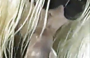 XXX I truffatori cechi mature gratis xxx sono duri